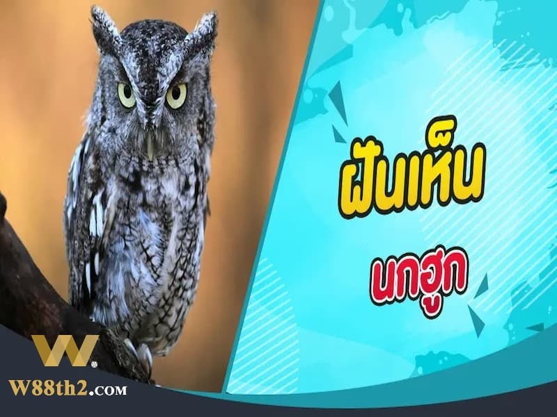ฝันเห็นนกฮูก ฝันเห็นนกฮูก